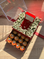 Customized Drawer Plexi Gift Box With Flowers